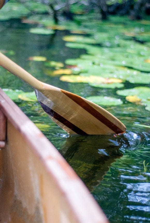 Lodge and Lake House Furniture Styles, Canoe with Lilypads